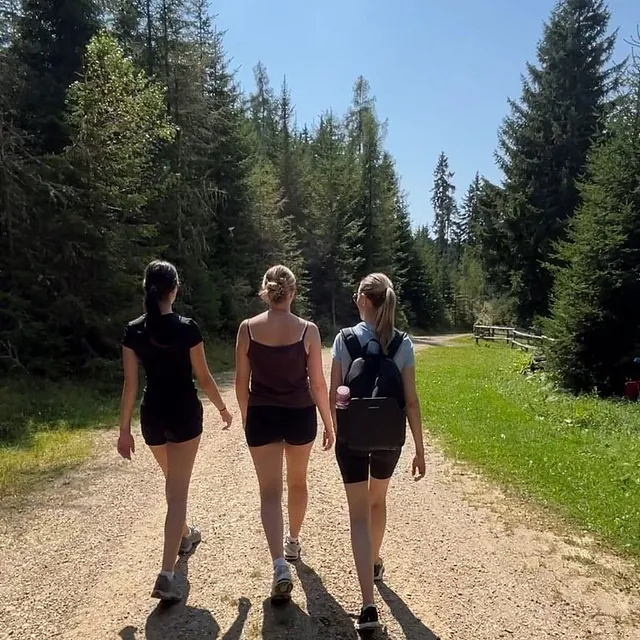 Drei Frauen wandern auf Waldweg