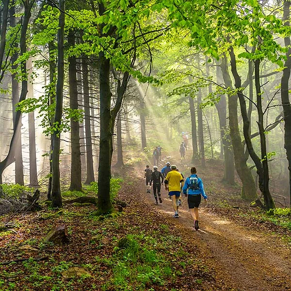 Gruppe von Trail Runnern im Wald