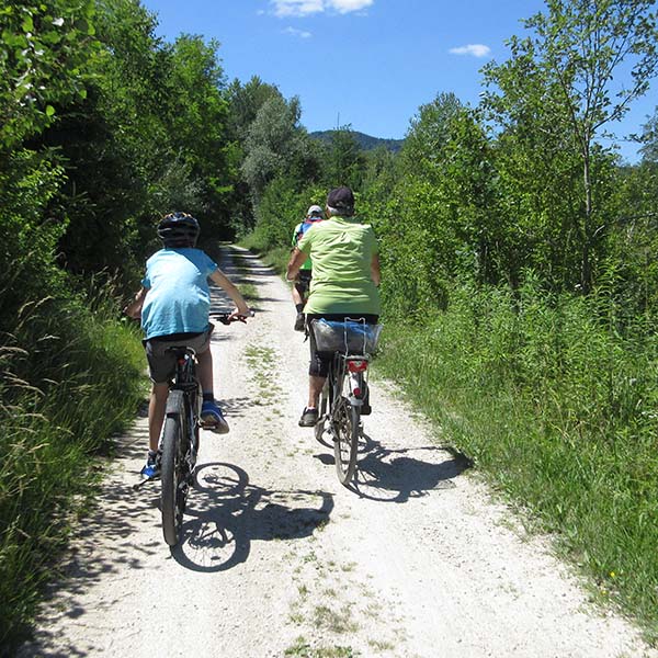 Gruppe von Fahrradfahrerm auf einem Waldweg