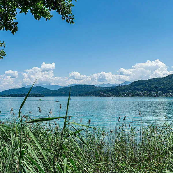 Blick auf den bekannten Wörthersee 