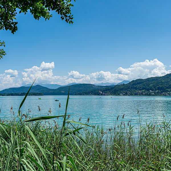 Blick auf den bekannten Wörthersee 